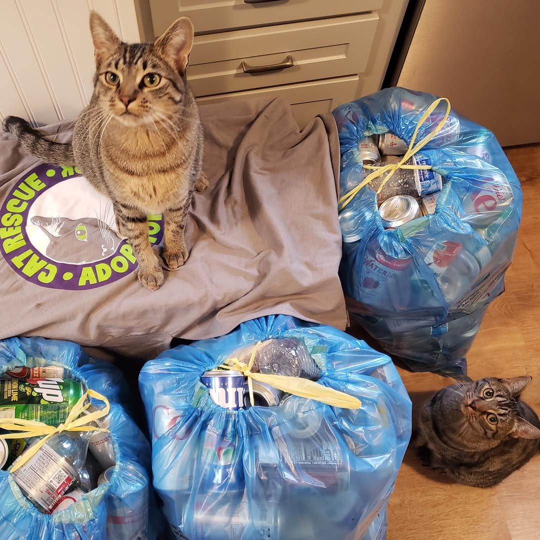 Oregon BottleDrop tweet media