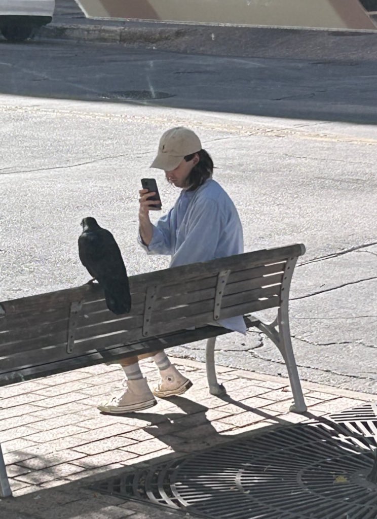 2002tacomasr5's tweet photo. Fuck it, bird posting https://t.co/vmwAPNadIB