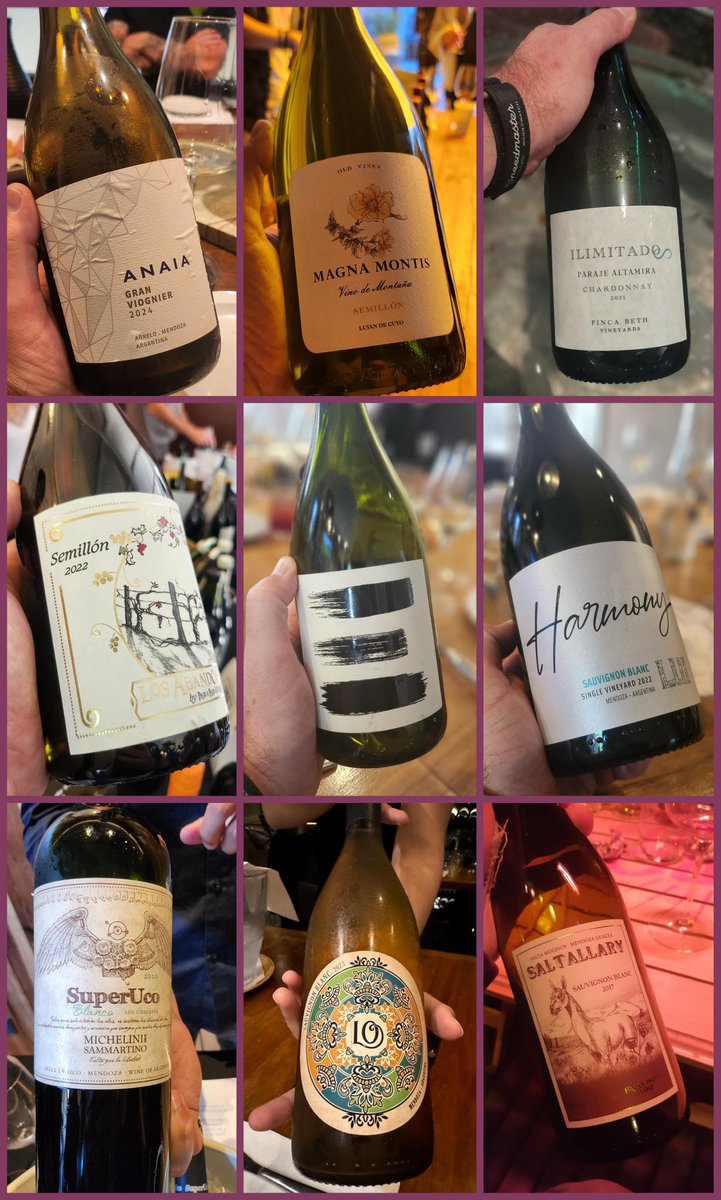 SGrapes🍷 tweet media