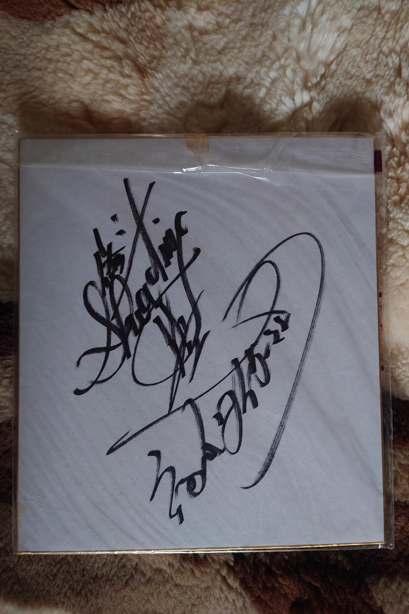 丸藤 正道 on X: 