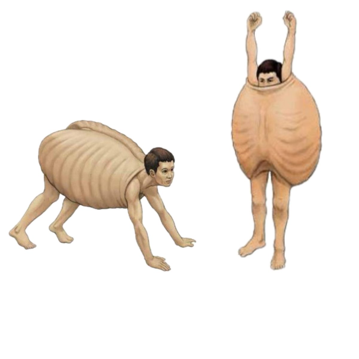 TopCoonX's tweet image. I’m having this done next week