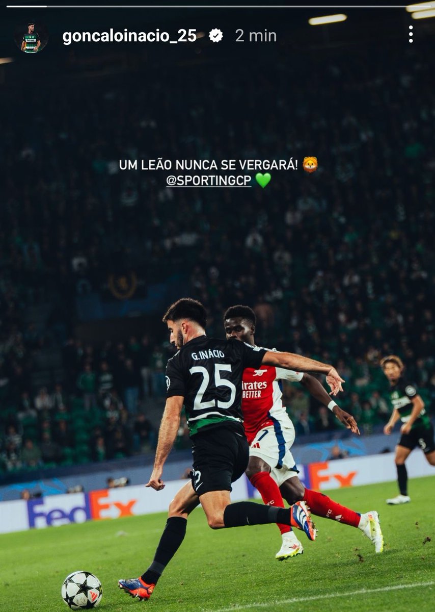 Juntos 💚