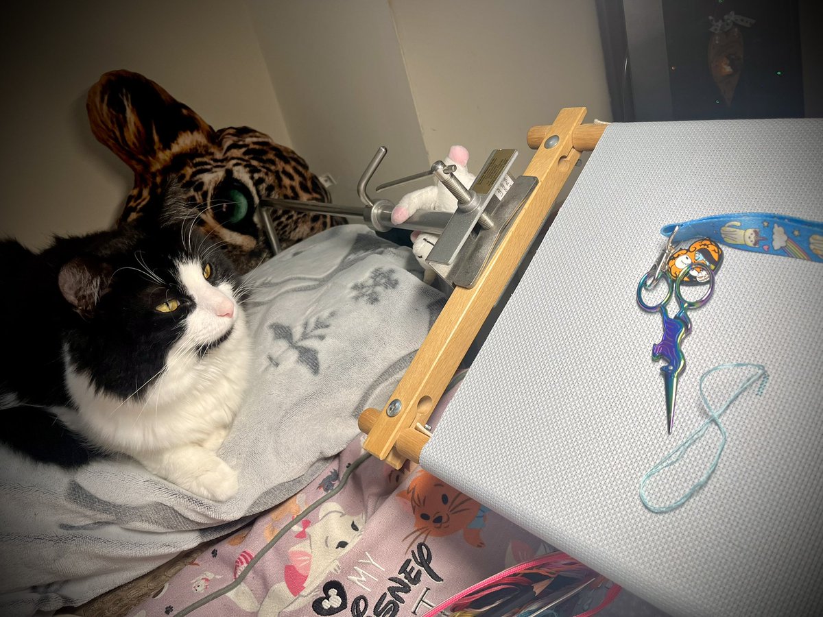 NatCBrooks's tweet photo. I’ve started my Cotton Club Crafts advent SAL!🪡🧵🎄Boarder first before it starts on Sunday 1st!🎅🏼🦌❤️ With some very specialised help from my little floof; Ludo! 🐾🐈⬛🩵
#craftynat83 #cottonclubcrafts #ludo #thefloof #mrfloofington #competition #sal #stitchalong #adventcalendar https://t.co/2Ma9NhcGmo