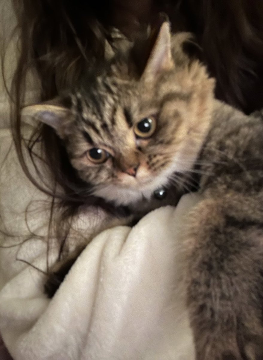 ـم (@23listar) on Twitter photo 