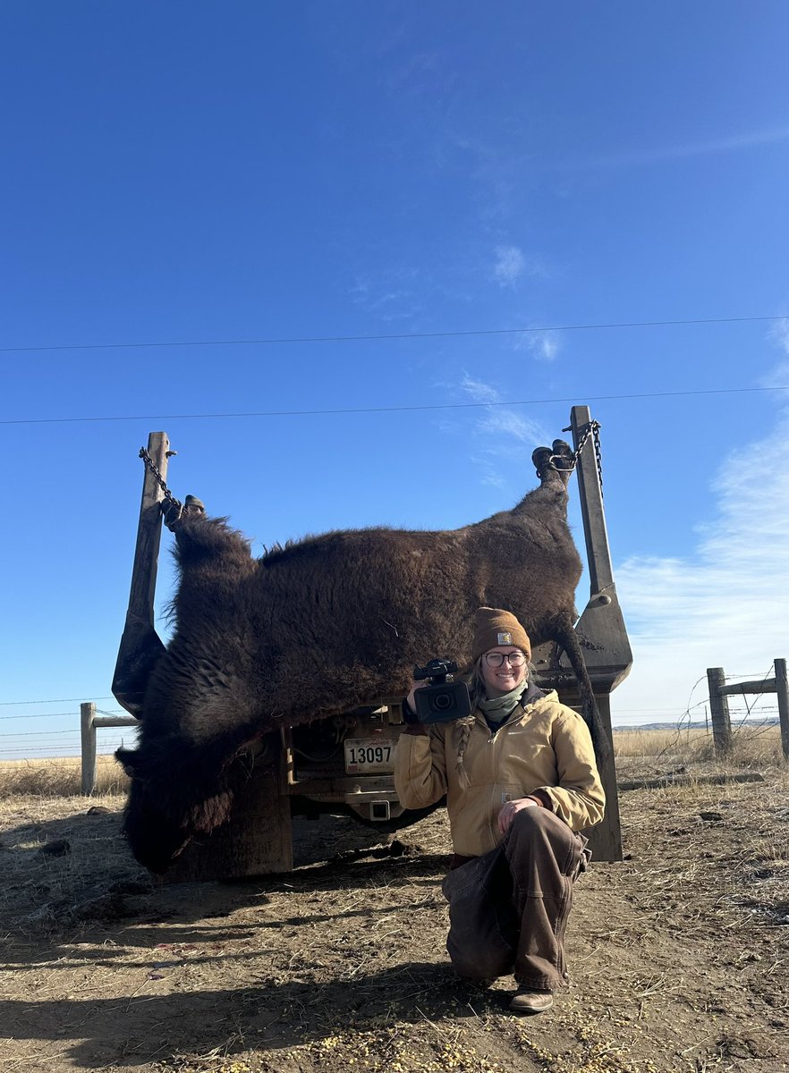 I spent my morning with Wild Idea Buffalo in Hermosa, South Dakota harvesting bison on the prairie for an <a href="/AgweekMagazine/">Agweek</a> story. 

Fun fact: the hide from these bison are used for both Patagonia and Tecovas work boots! 🦬 🥾