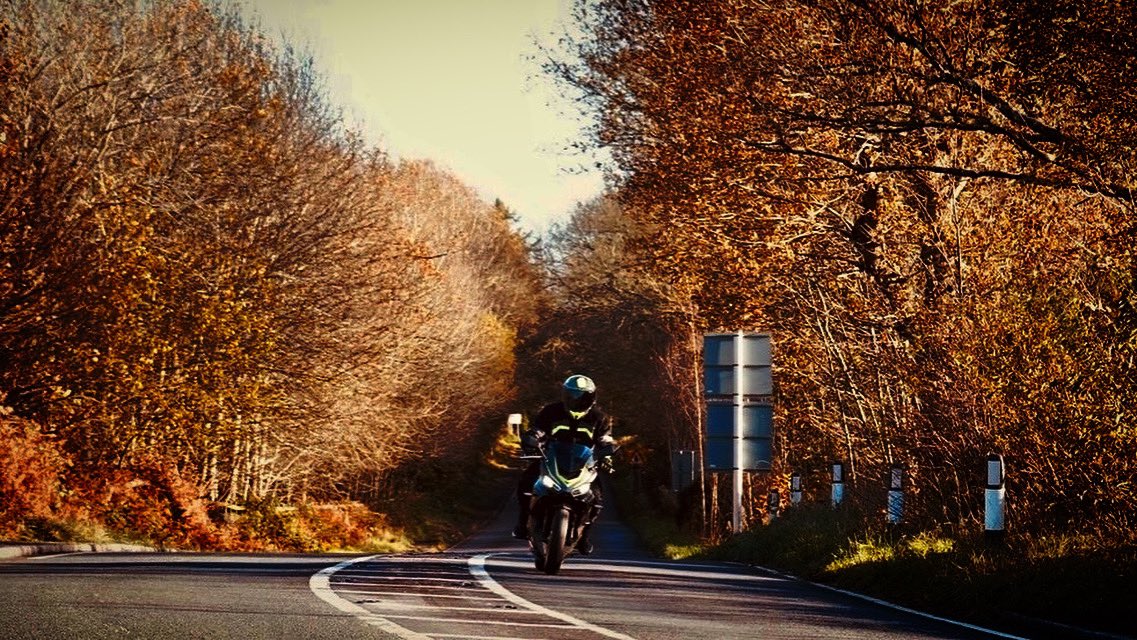 FastSnapsPhotography tweet media