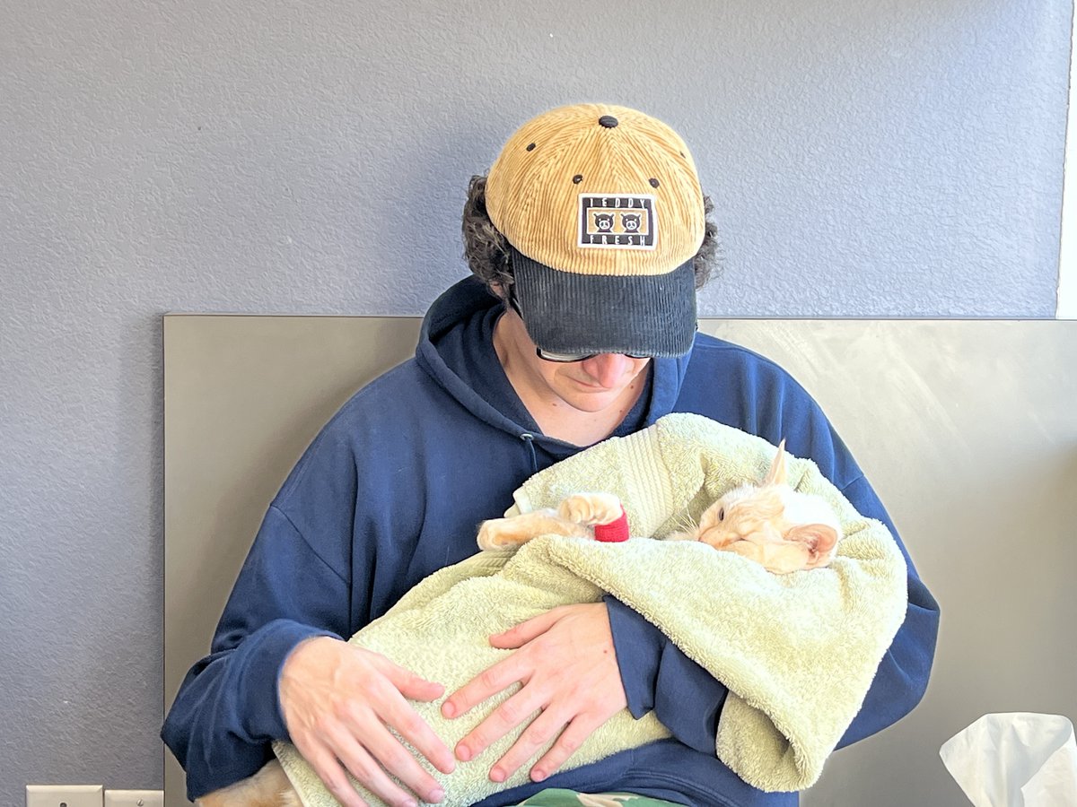 SNCKPCK ★彡 tweet media