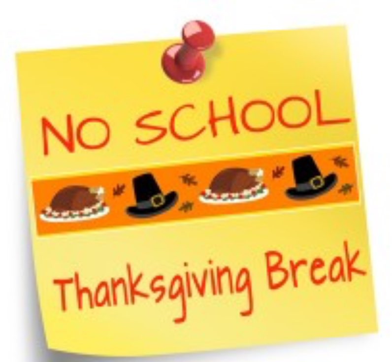 Nikki Jacoby tweet media