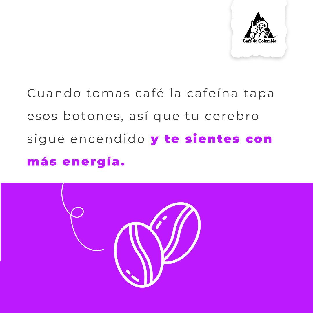 El café es conocido por darnos energía, pero ¿Sabes por qué ocurre? Aquí te lo explicamos con más detalle. ☕