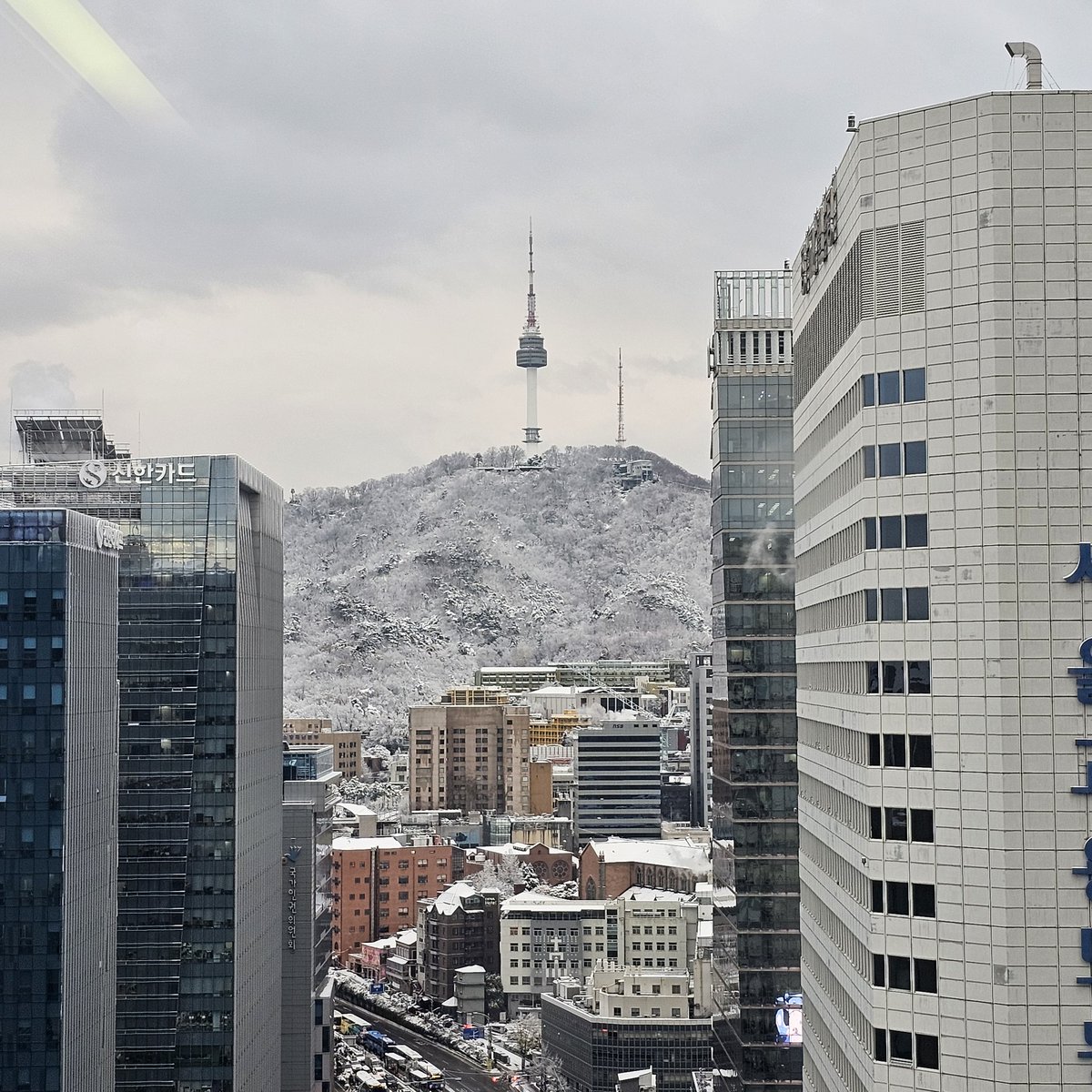 눈이 진짜루 왔다!!