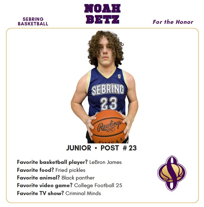 Sebring Boys Basketball tweet media