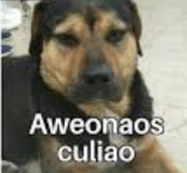 Excluir a los migrantes de contratos laborales y marginalizarlos mas va a hacer maravillas por la seguridad, VIERAI

Esta idea es estupida y solo creará migración aun mas irregular