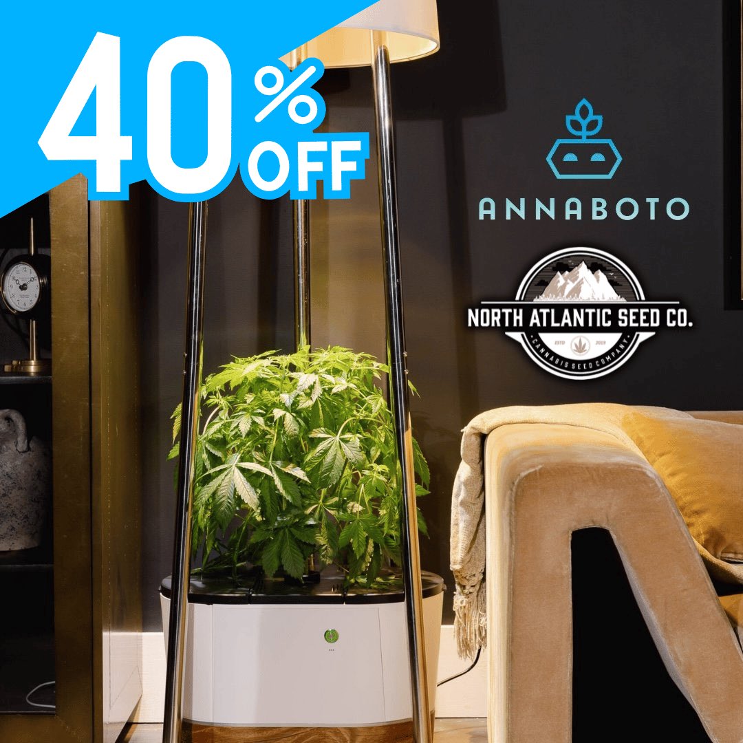 N_A_S_C_'s tweet photo. Check out this timelapse grow in the Annaboto 🤖🌱 

Don’t Miss 40% OFF Annaboto thru Cyber Monday🌿

Nothing for sale on social media. Link in bio. Valid with Annaboto purchases until 12/2. https://t.co/uA0ausTS1L