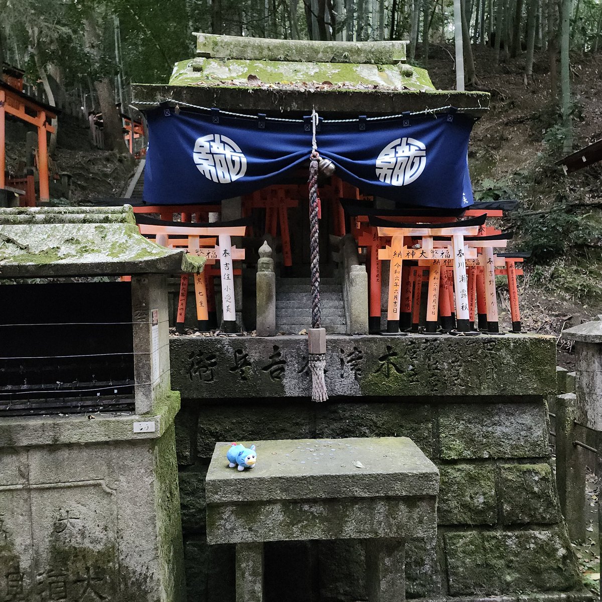 MushMeaty's tweet photo. ⛩️⛩️⛩️

#peepy #itemlabel https://t.co/ZcEnIx1x6u