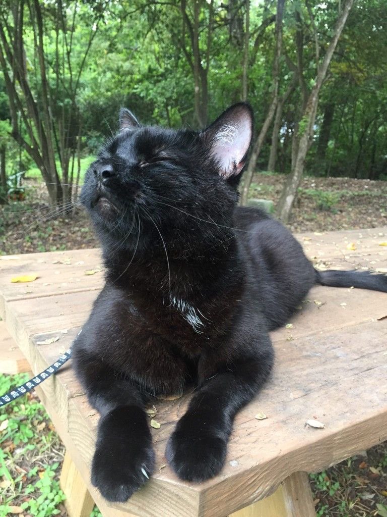 blackscats's tweet photo. https://t.co/6zeEziqhLX