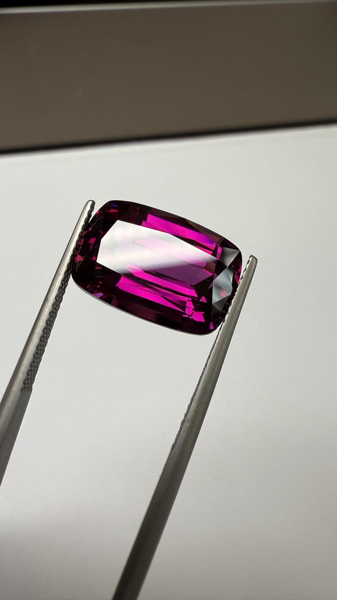 gemaficionado's tweet photo. Just look at this special garnet from Tanzania #rare #luxury #invest https://t.co/qLFzGpFphd
