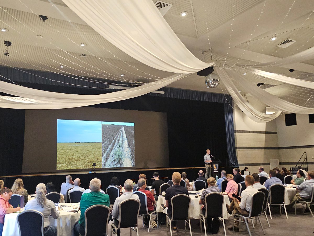 ❗ The 2024 Crop Protection Forum is LIVE!

Dr Michael Widderick is currently speaking to the northern weed herbicide status, and managing ryegrass

It's not too late to grab an online streaming ticket ➡️ buff.ly/3Z9CpAn

<a href="/theGRDC/">GRDC</a> 
<a href="/cesaraustralia/">Cesar Australia</a>
<a href="/theCCDM/">CCDM</a>