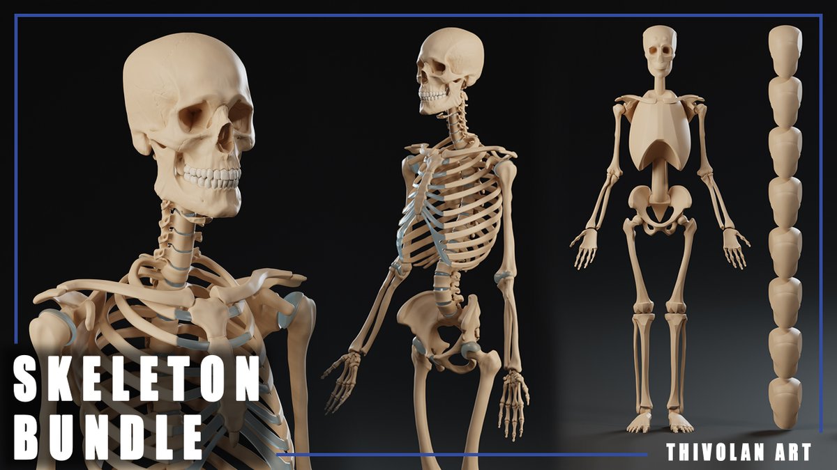 thivolan's tweet photo. NEW PRODUCT: ANATOMY SKELETON!!!

Anatomically accurate skeleton.

FLIPPEDNORMALS:  https://t.co/3cqSslLDhu

Artstation:  https://t.co/DRt3TIWCSz

#3D #beginner #skeleton #ZBrush #stylized #anatomy #Sculpting #blender #Sale #flippednormals #artstation #BlackFridayDeals #basemesh https://t.co/7SNDAtDEKO