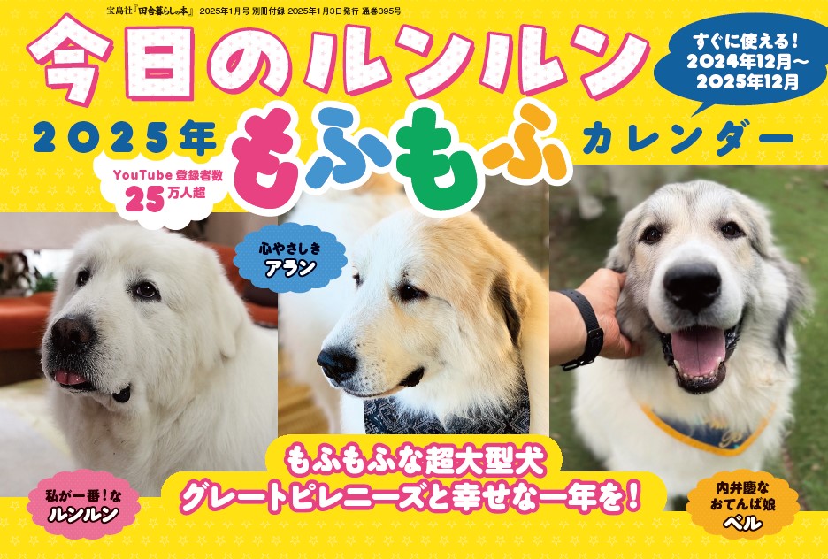 todays_runrun's tweet photo. 【お知らせ】田舎暮らしの本2025年1月号（2024年12月3日発売）の付録に2025年今日のルンルンカレンダーが付いています！全国の書店、又はamazonなどで是非ご購入ください！

田舎暮らしの本 2025年 01 月号
2024年12月3日発売
amazon
https://t.co/P5hR9MCzJg https://t.co/fwfoeISht0