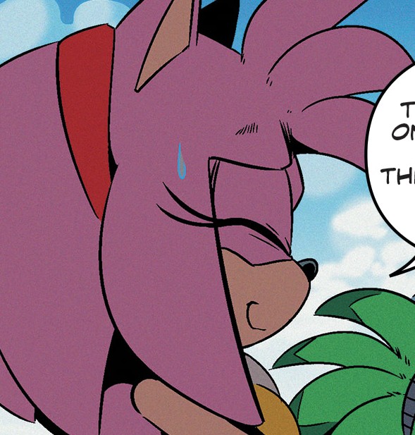 pikoheId's tweet photo. ah. . .you get used to it. eventually. if I had a nickel for every sonic variant I've met I would be rich! you learn to find the differences. https://t.co/47tvlgpmWY