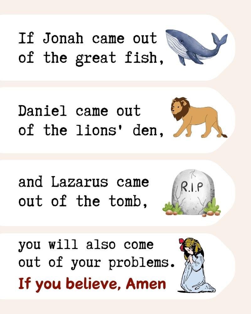 ChristIsComing5 tweet picture