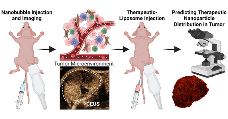 ACS Nano (@acsnano) on Twitter photo .<a href="/AgExner/">Agata Exner</a> et al. show that #nanobubble-based contrast-enhanced #UltrasoundImaging (NB-CEUS) can help differentiate between tumor types, assess therapeutic #nanoparticle accumulation in tumors, & predict #nanotherapeutic efficacy. <a href="/cwru/">Case Western Reserve</a> <a href="/CWRUBME/">CWRU Biomedical Engineering</a>
Read: go.acs.org/bMy .<a href="/AgExner/">Agata Exner</a> et al. show that #nanobubble-based contrast-enhanced #UltrasoundImaging (NB-CEUS) can help differentiate between tumor types, assess therapeutic #nanoparticle accumulation in tumors, & predict #nanotherapeutic efficacy. <a href="/cwru/">Case Western Reserve</a> <a href="/CWRUBME/">CWRU Biomedical Engineering</a>
Read: go.acs.org/bMy