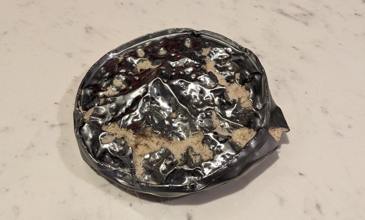 What could this strange object be? An artifact from the Zone?

No, it was a sealed can of tuna that my husky had pulled off the counter.

Was.