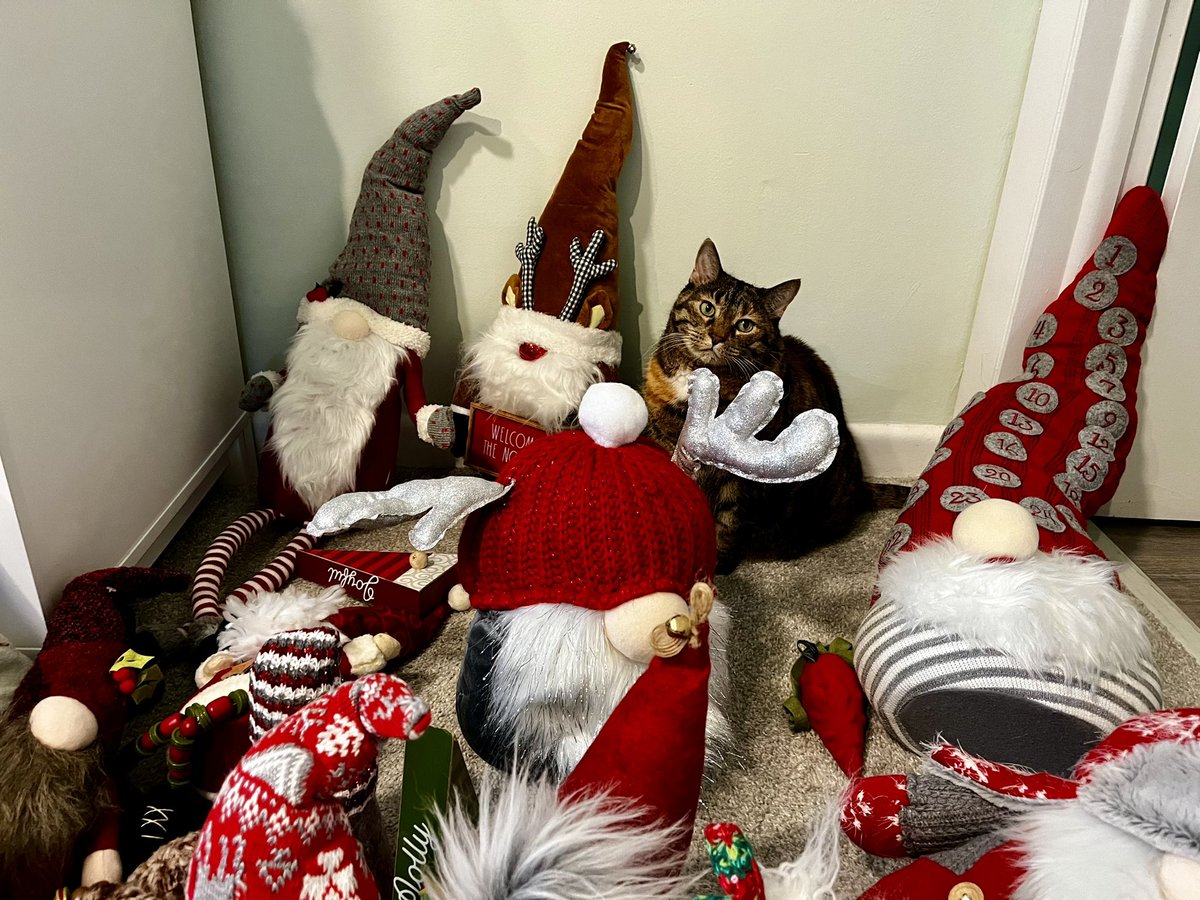 One of these things are not like the other.