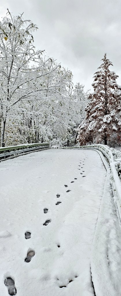 Dr Jennifer 'JB' Bates tweet media