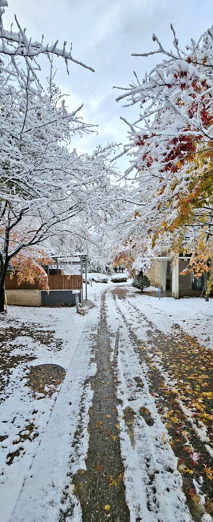 Dr Jennifer 'JB' Bates tweet media