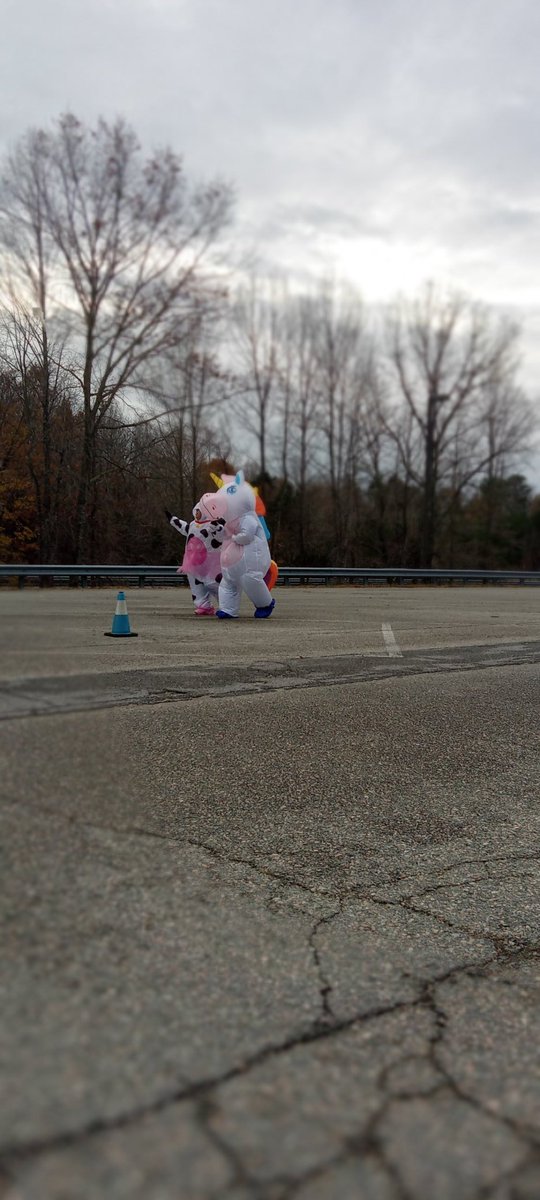 computeramy143's tweet photo. Teacher turkey trot #preK #WeAreCuCPS #ccesdukes https://t.co/kSdsP1eumj