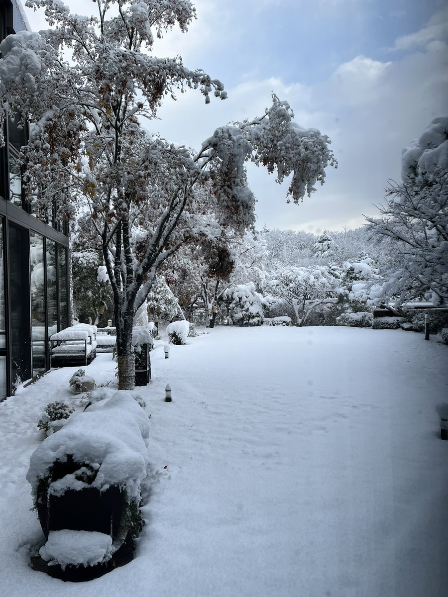 First snow of the year in Seoul.