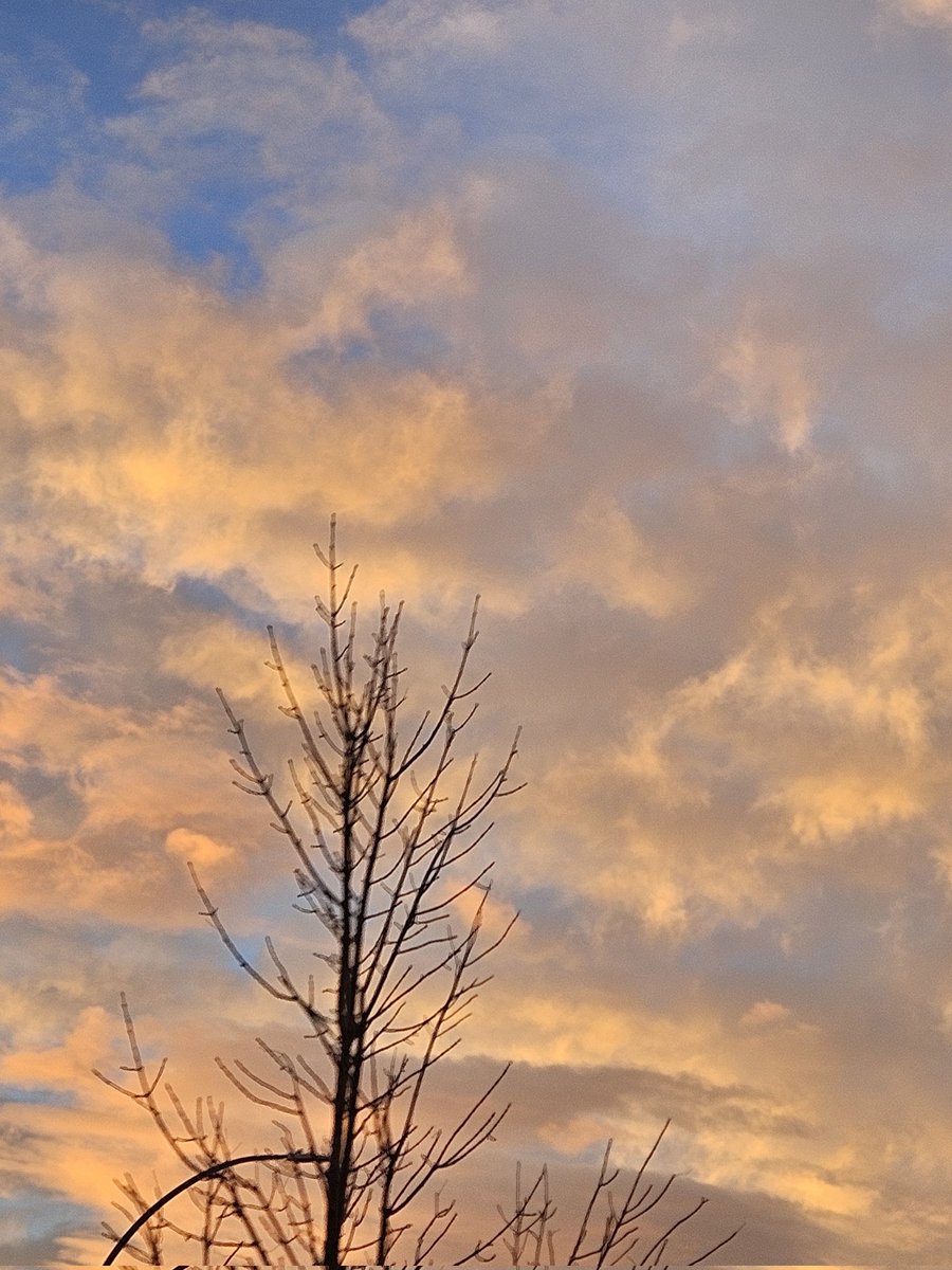 wateriscutee's tweet photo. November is being nice (ish) https://t.co/7HmqImSI8M