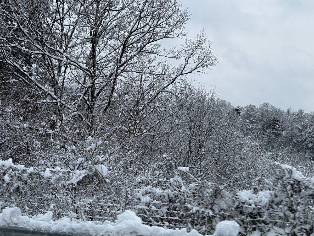 📅 241127 Weverse Translations Thread

V’s Post ❇️

How have you been? 
Did you see the snow? 

It’s now the start of winter❄️
ARMYs, have fun with each other this year and let Bangtan join in the fun next year, okay? Yeah? Yeah?🥹

Trans cr; Faith @ bts-trans
© TAKE OUT WITH