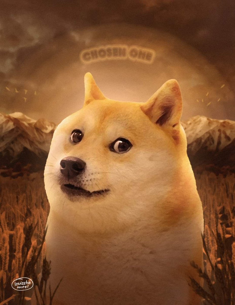 doge_albania's tweet photo. DOGE https://t.co/aLvsXJEu7B