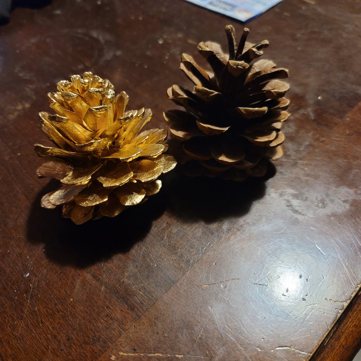 771Roof's tweet image. #Woofda was just doing something goofy I check on #pine #cones and you will never guess #Etsy wants $80 #dollars for this #gold pine cone so I guess I'm a little closer and more local I'm selling 1 gold and 1 regular pine cones as a pair or lot whatever you want to call it Hit me