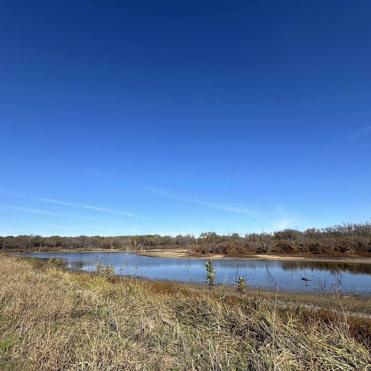 ebshupe's tweet image. Today I went birding somewhere called Dead Woman’s Lake, and I said “I bet there’s a story there.” There was, and we found the murderer’s grave.
