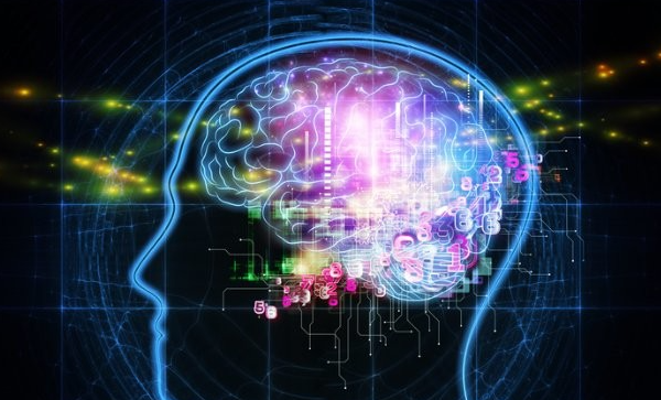 Imagine we all held $IMAGINE