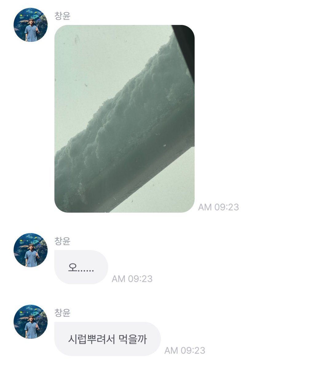 먹주 tweet media