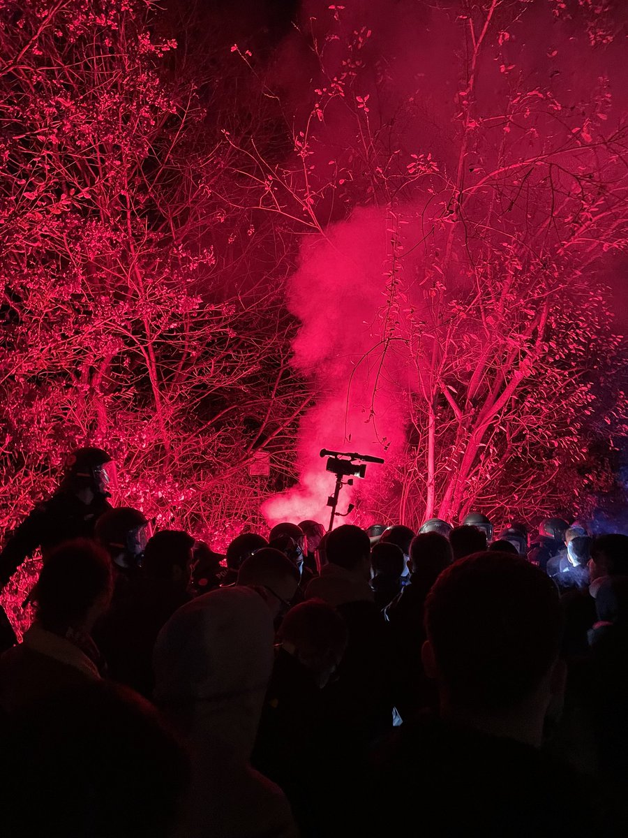 Tom Alex tweet media