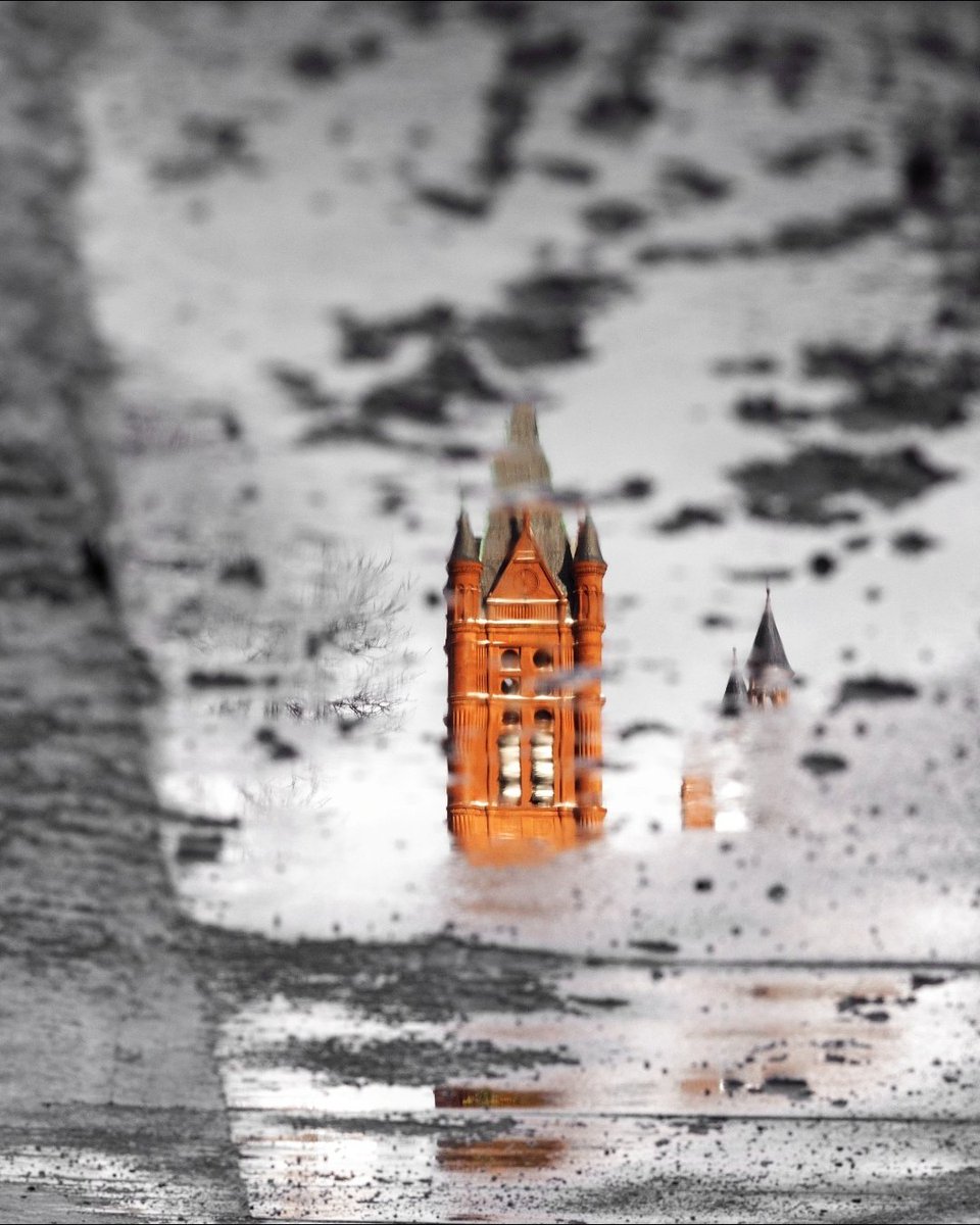SyracuseU's tweet image. rainy day reflections 🌧️