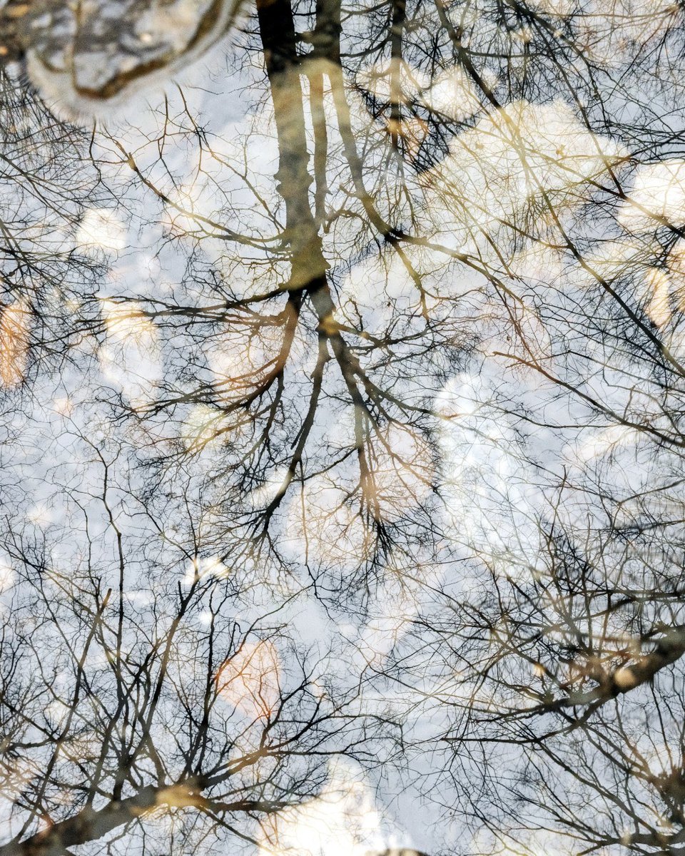 SyracuseU's tweet image. rainy day reflections 🌧️