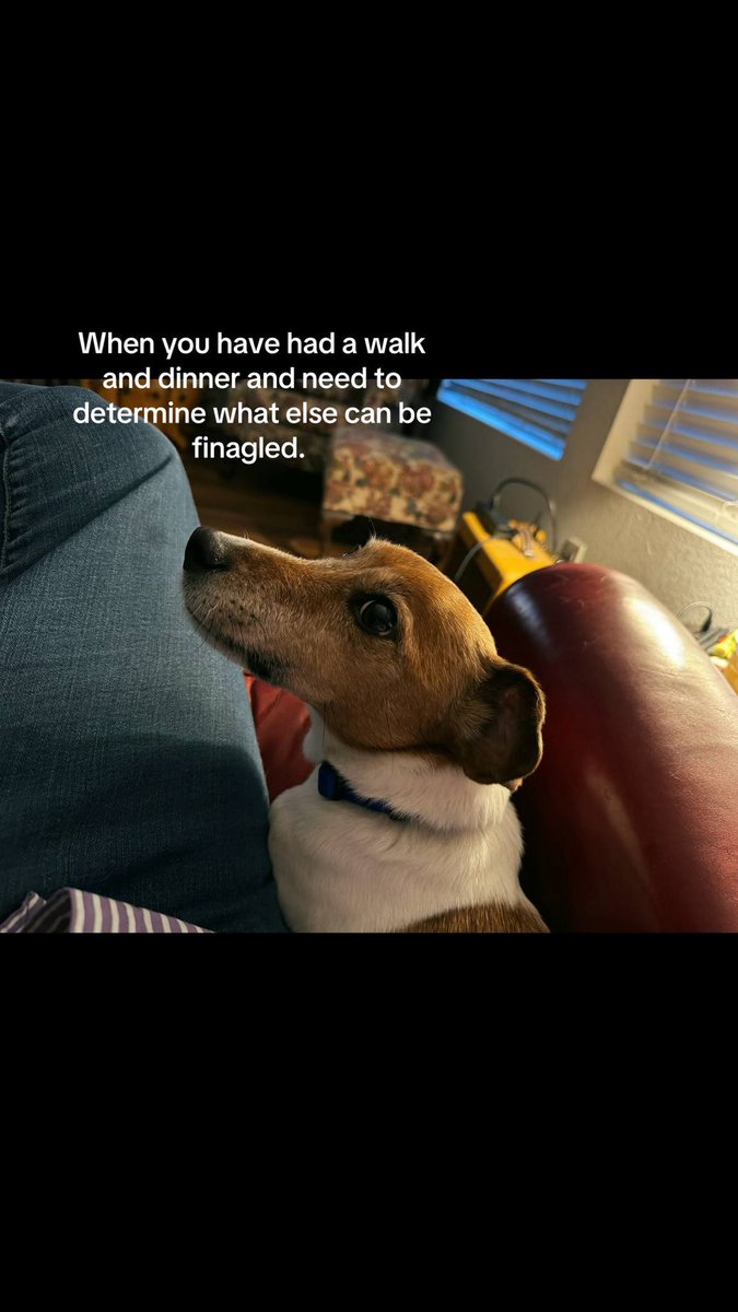 #contemplatelife #plot #plottwist #christmasiscoming with <a href="/quesarahcooks/">Quesarahcooks</a>