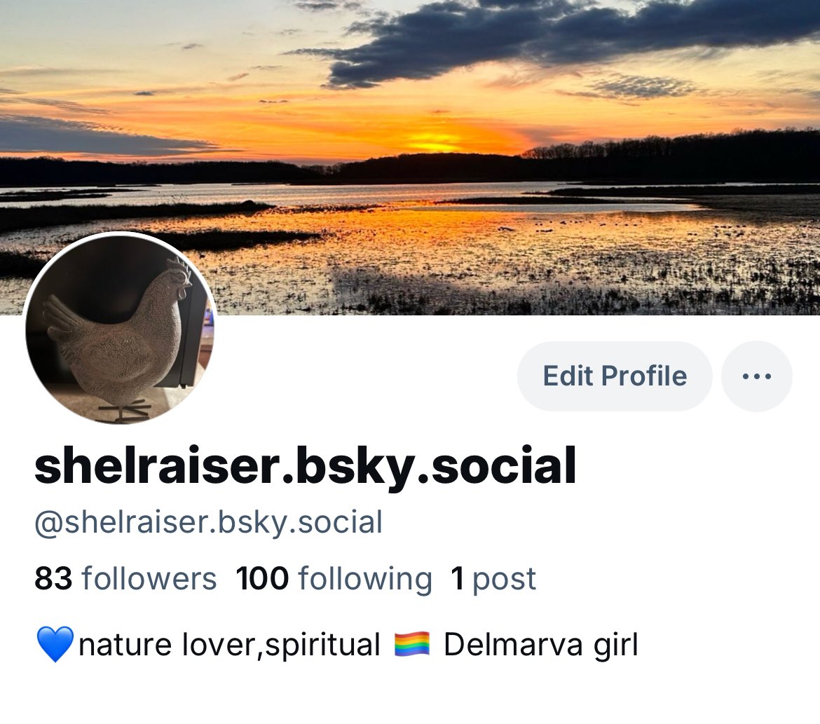 shellraiser23's tweet image. Join me here