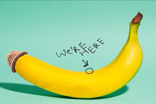 BANANA ZONE tweet media