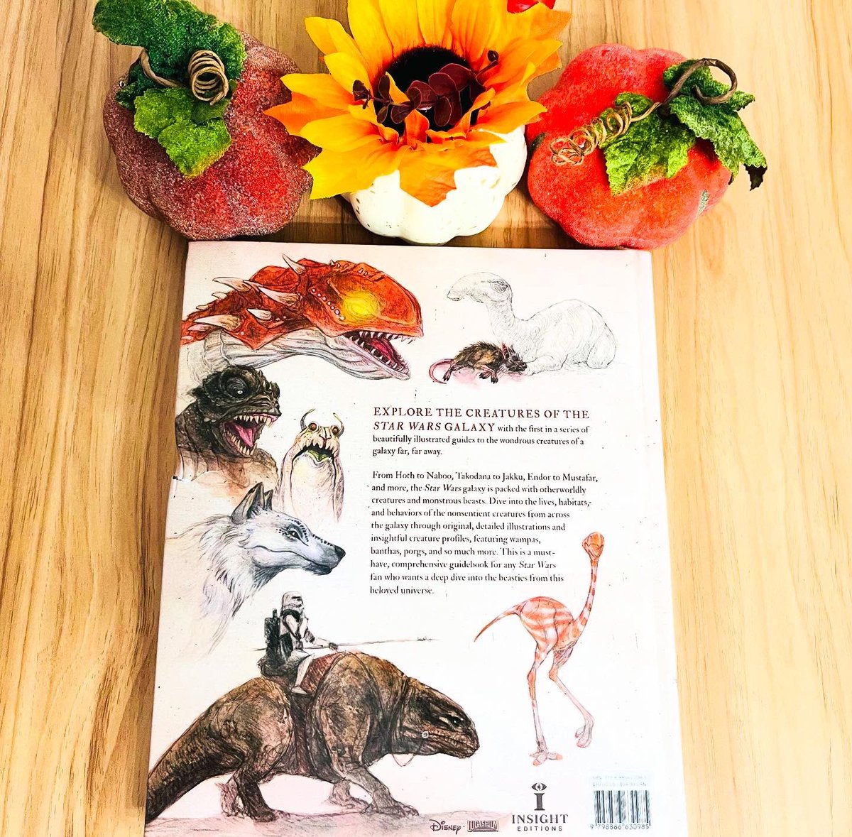 Tarkin’s Top Shelf🎙 tweet media