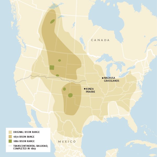 Never forget White Americans tried to solve their “Indian problem” after their Civil War by eradicating the main food source of Native Americans on the Great Plains knowing women and children would die along with the men—they hunted buffaloes nearly to extinction for this reason