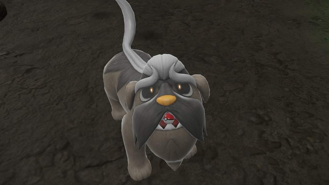 peachypop, wild mage 🍑 🔜 MC Vegas! tweet media