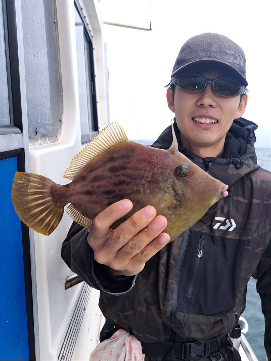 bass_Up6's tweet photo. 少し前に笠岡渡船さんでカワハギ！
釣りの後はカワハギのお寿司とお刺身と煮付けとカワハギづ
くし😋
#カワハギ釣り #釣り #カワハギ #カワハギの肝 #カワハギの刺身 #カワハギの煮付け #カワハギ料理 https://t.co/zVqmvCDG6d