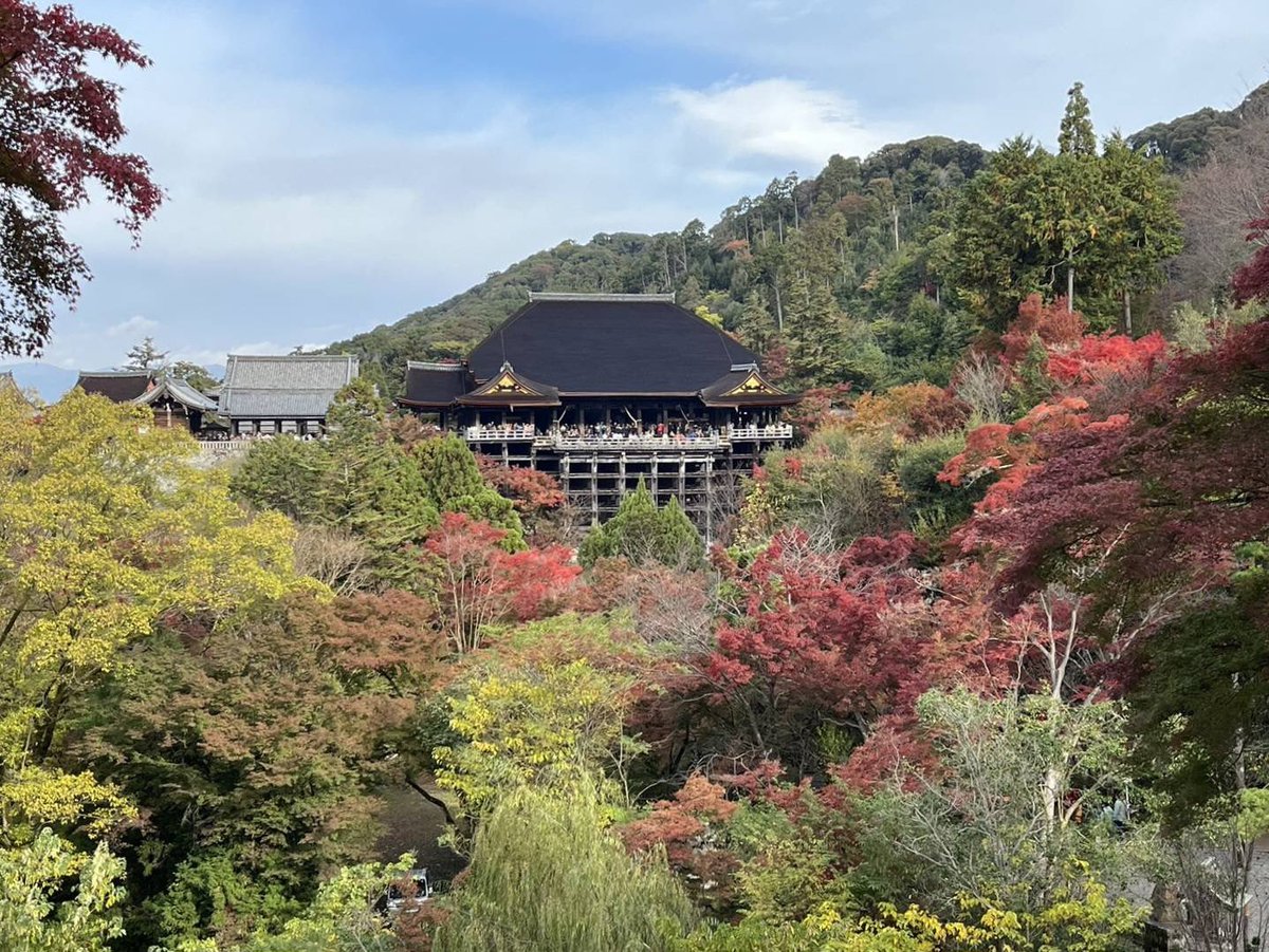 souda_kyouto's tweet photo. おはようございます☁️本日は清水寺からスタート✨9時半頃の様子です📷

色づきの進み具合によって色とりどりの景色が楽しめます✨とっても鮮やか😳昨夜の雨のおかげか、もみじが活き活きとしているよう🍁

朝6時から開門しているので、ゆっくり楽しむなら早朝がおすすめです😊局員

#そうだ京都行こう https://t.co/W4AZ7pNgnT